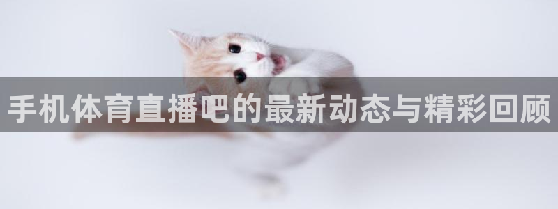 山猫nba免费直播：手机体育直播吧的最新动态与精彩回顾