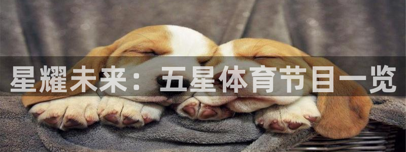 山猫直播体育在线观看：星耀未来：五星体育节目一览