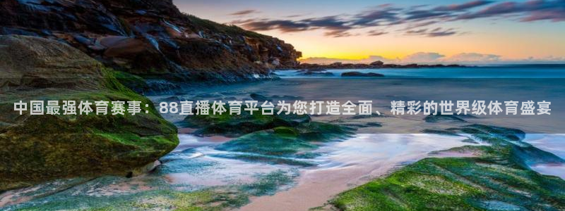 山猫直播足球免费观看高清版：中国最强体育赛事：88直播体育平台为您打造全面、精彩的世界级体育盛宴