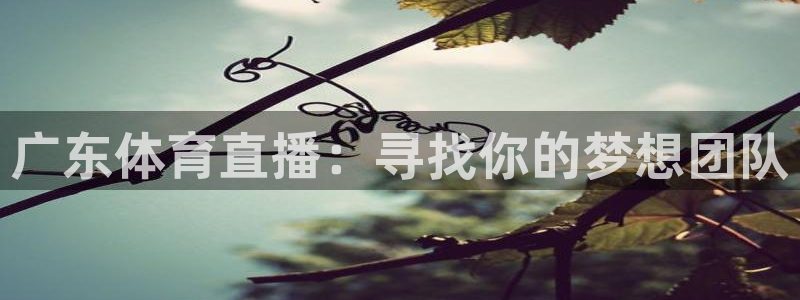 山猫直播免费足球：广东体育直播：寻找你的梦想团队