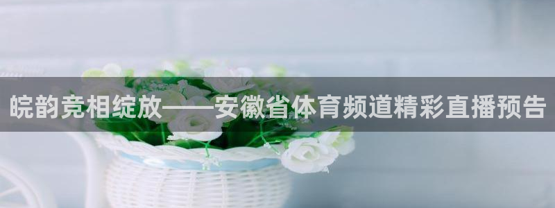 山猫体育赛事直播官网：皖韵竞相绽放——安徽省体育频道精彩直播预告