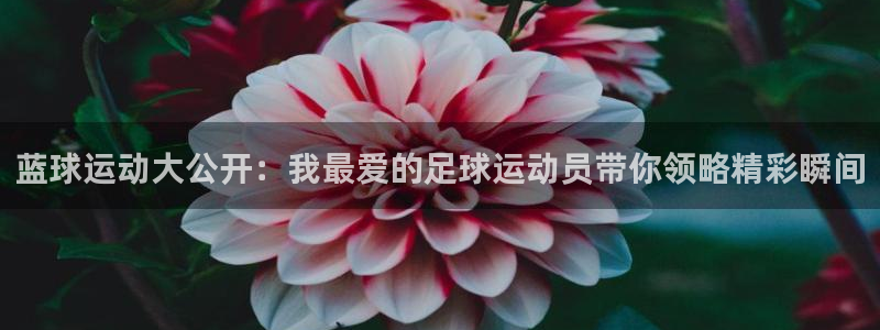 山猫直播体育nba：蓝球运动大公开：我最爱的足球运动员带你领略精彩瞬间