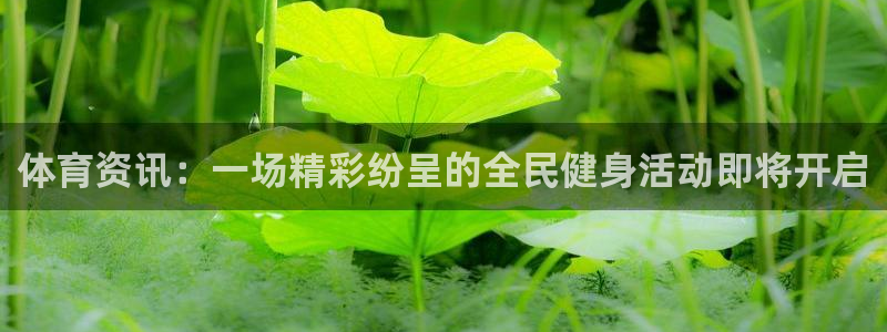山猫体育免费直播赛事：体育资讯：一场精彩纷呈的全民健身活动即将开启