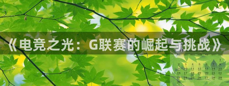 山猫nba在线直播：《电竞之光：G联赛的崛起与挑战》