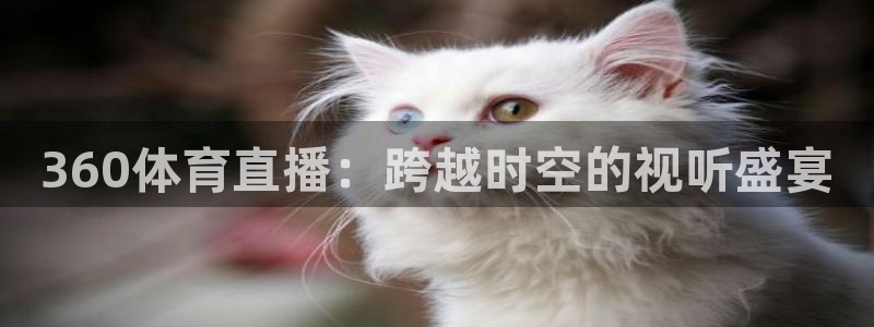 山猫在线体育直播篮球：360体育直播：跨越时空的视听盛宴