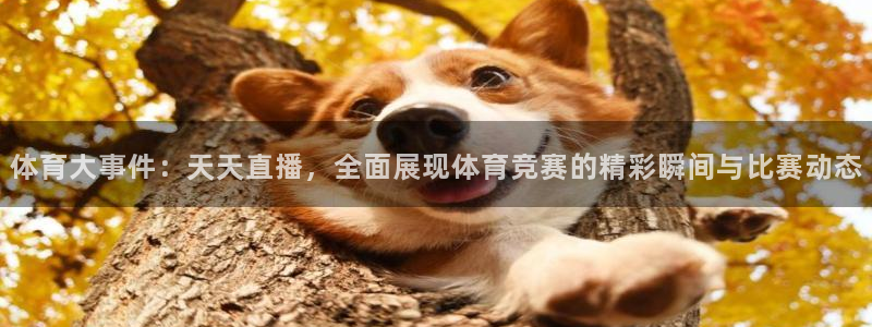 山猫体育赛事在线直播视频：体育大事件：天天直播，全面展现体育竞赛的精彩瞬间与比赛动态