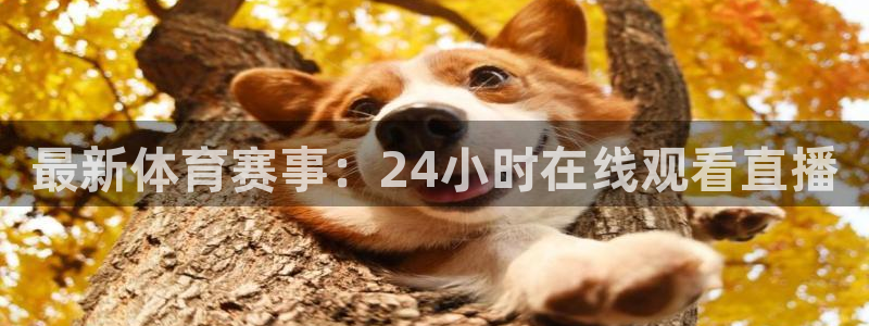 山猫体育赛事免费直播：最新体育赛事：24小时在线观看直播