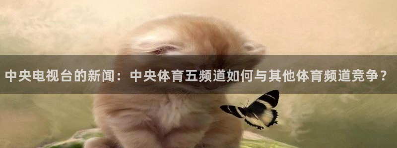 nba直播吧山猫体育：中央电视台的新闻：中央体育五频道如何与其他体育频道竞争？