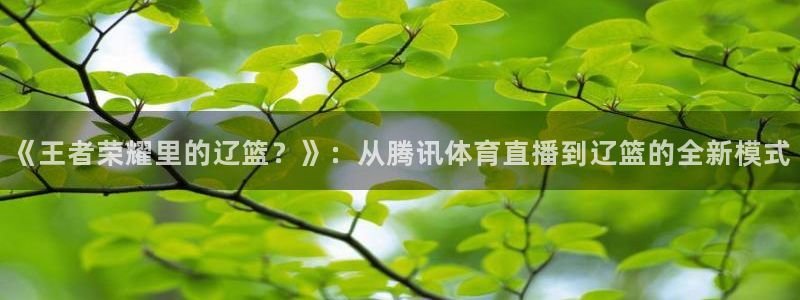 山猫足球直播高清直播在线观看：《王者荣耀里的辽篮？》：从腾讯体育直播到辽篮的全新模式